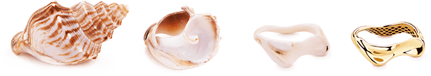 spirits bay extra info 1