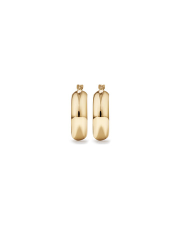 Hoop Earrings in 10ct Yellow Gold Hoop Earrings in 10ct Yellow Gold