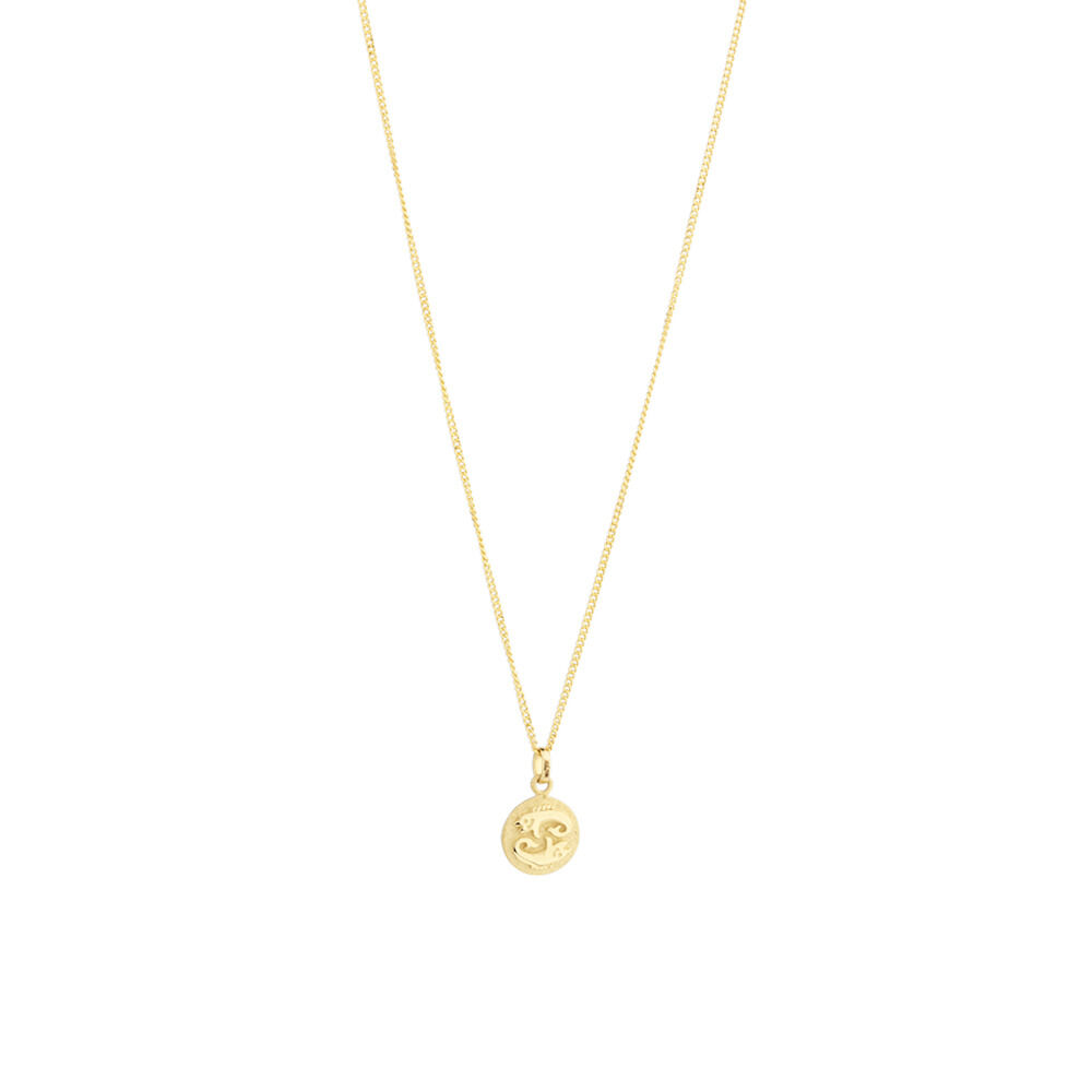 Pisces Zodiac Pendant in 10ct yellow Gold
