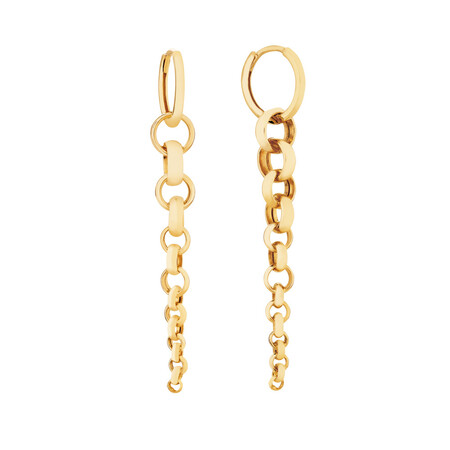Drop Earrings in 10ct Yellow Gold Drop Earrings in 10ct Yellow Gold