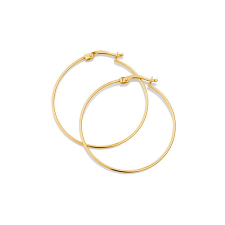 Hoop Earrings in 10ct Yellow Gold Hoop Earrings in 10ct Yellow Gold