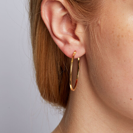 Hoop Earrings in 10ct Yellow Gold Hoop Earrings in 10ct Yellow Gold