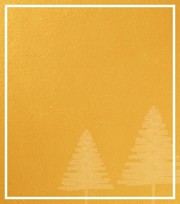 Michael Hill - Christmas Gift Guide