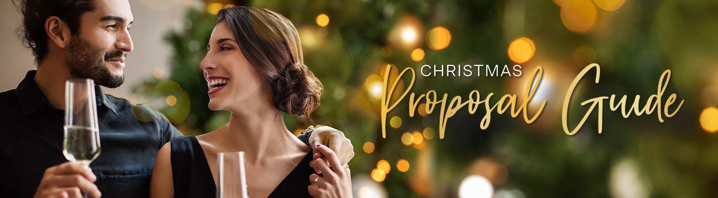 Christmas Proposal Guide