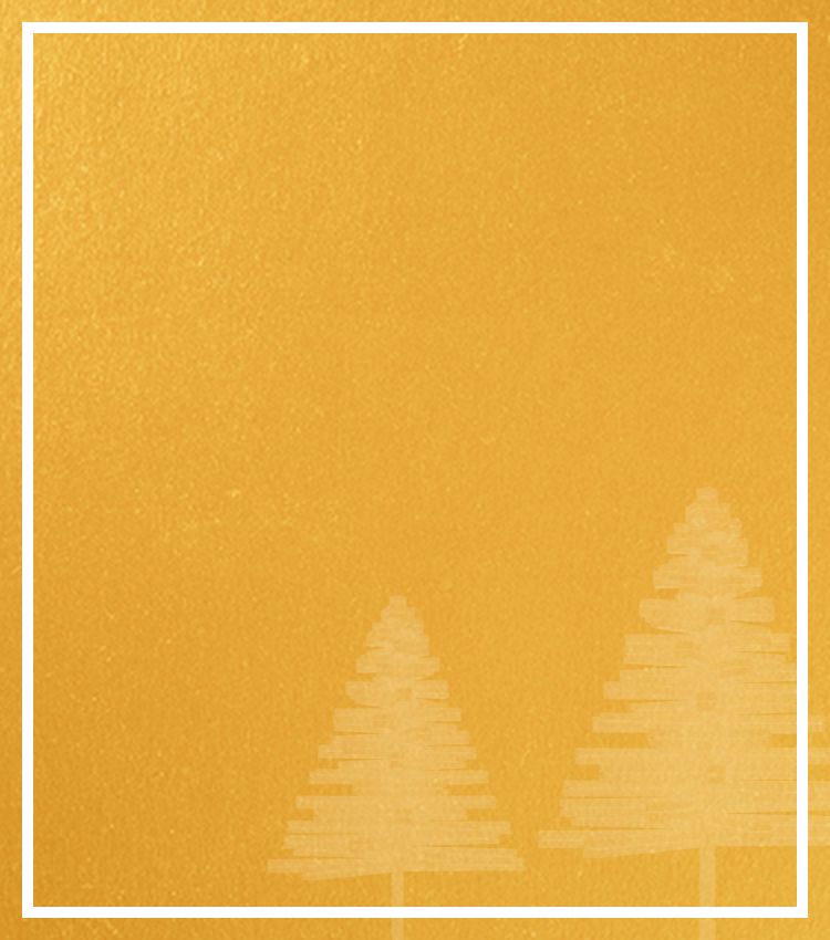 Michael Hill - Christmas Gift Guide